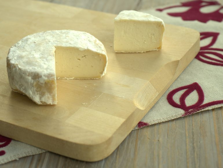 Cashew-millet cheese with geotrichum